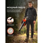 Воздуходувка бензиновая Patriot BG 125 755100125