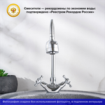 Смеситель для кухни РМС SL65-279F с гибким изливом Хром
