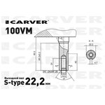 Двигатель бензиновый 100VM 01.025.00070