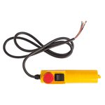 Пульт управления для тали РА (250/500) 1190513