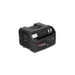 Зарядное устройство Парма ПАРМА-Электрон УЗ-10 02.008.00001