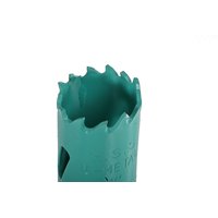 Коронки биметаллические Sturm! 1090-04-BI-25