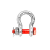 Омегообразная скоба TOR 2,0 т (тип G2130) 1230206