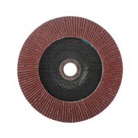 Круг лепестковый торцевой (180х22.23 мм, P60) 819010014