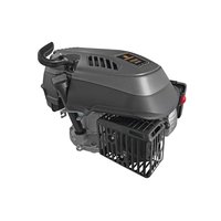 Двигатель бензиновый 173VM 01.025.00072