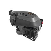 Двигатель бензиновый 139VM 01.025.00071