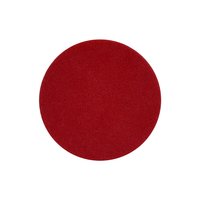 Шлифовальный круг Sturm! 5200401