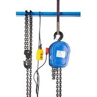 Электрическая таль TOR цепная ТЭШ DHP 1,0 т 6 м 1281062