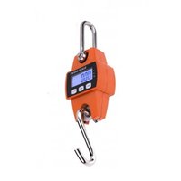 Электронные крановые весы TOR OCS-L 200кг 1004315