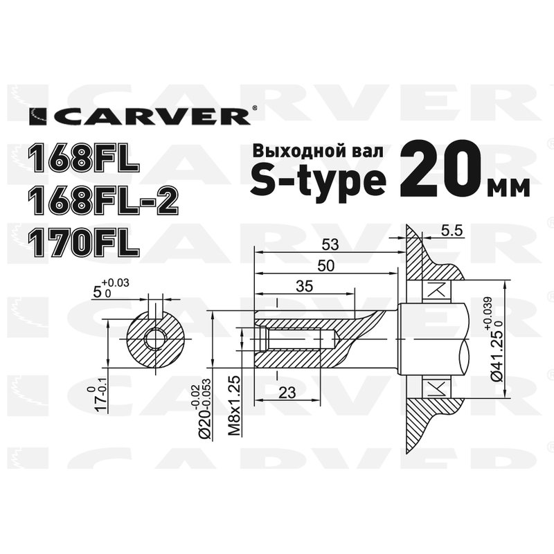 Двигатель бензиновый Carver 168FL-2 01.010.00128