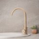 Смеситель для кухни РМС SUS124BGK-017F Нержавеющая сталь Бежевый