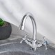Смеситель для кухни РМС SL71-271F двуручковый Хром