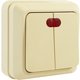 Выключатель двухклавишный с подсветкой О/У. бежевый Jilion 9533417