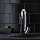 Смеситель для кухни РМС SL137W-016F с гибким изливом Хром