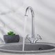 Смеситель для кухни РМС SL115-274F двуручковый Хром