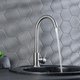 Смеситель для кухни РМС SUS124-017F Нержавеющая сталь