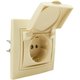 Розетка 1 гнездо с крышкой (с/з, с/к) С/У. бежевый Jilion 9533173