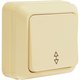 Выключатель одноклавишный проходной О/У. бежевый Jilion 9533403
