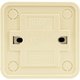 Выключатель двухклавишный О/У. бежевый Jilion 9533413